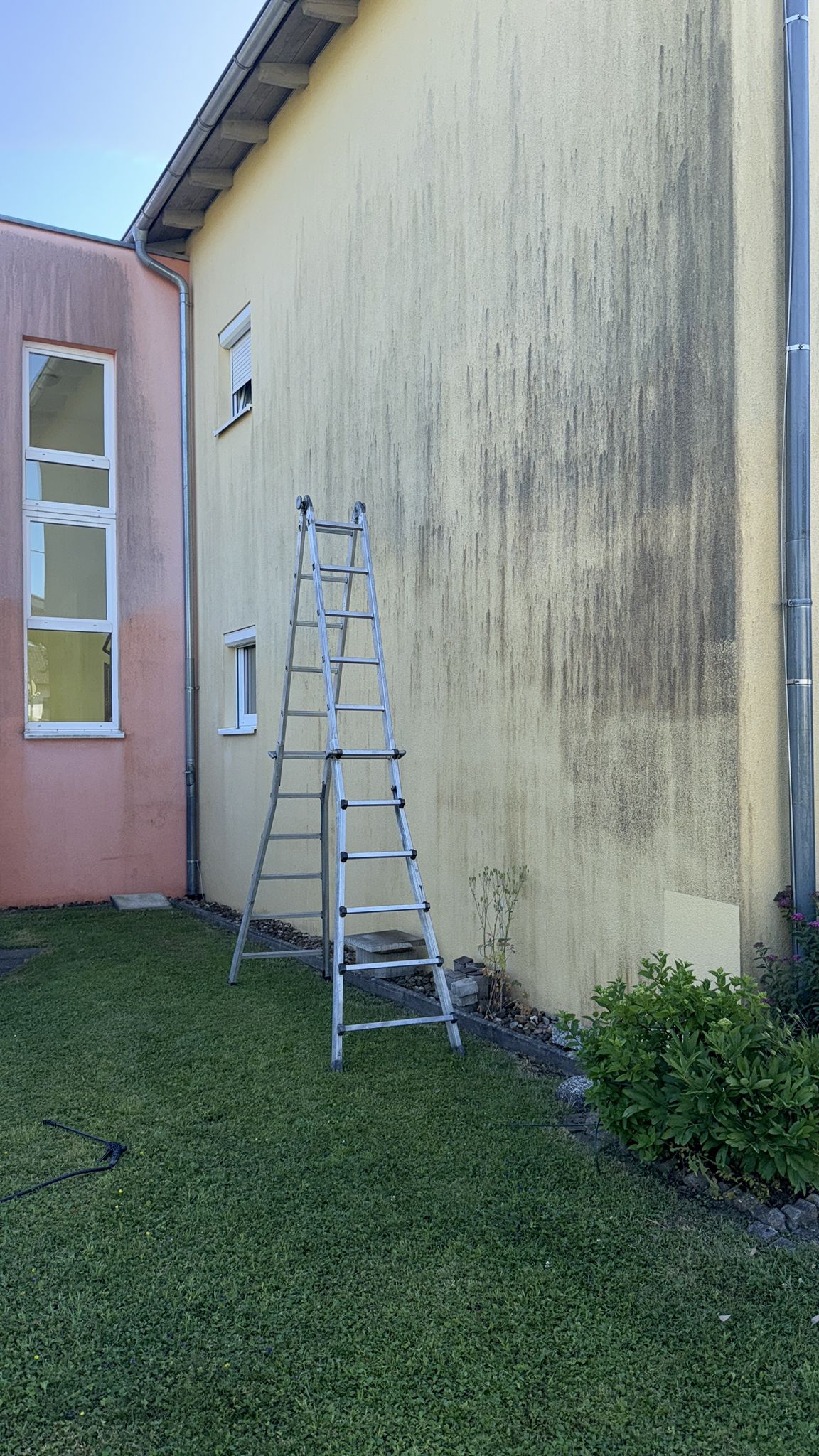 Foto3