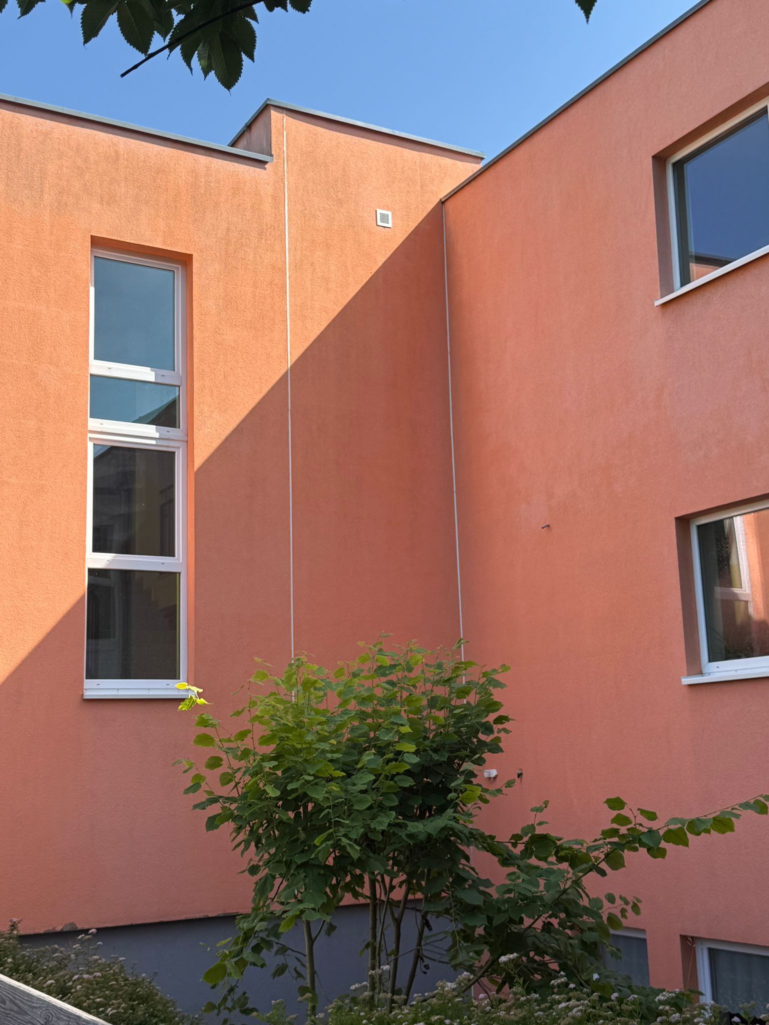 Foto4